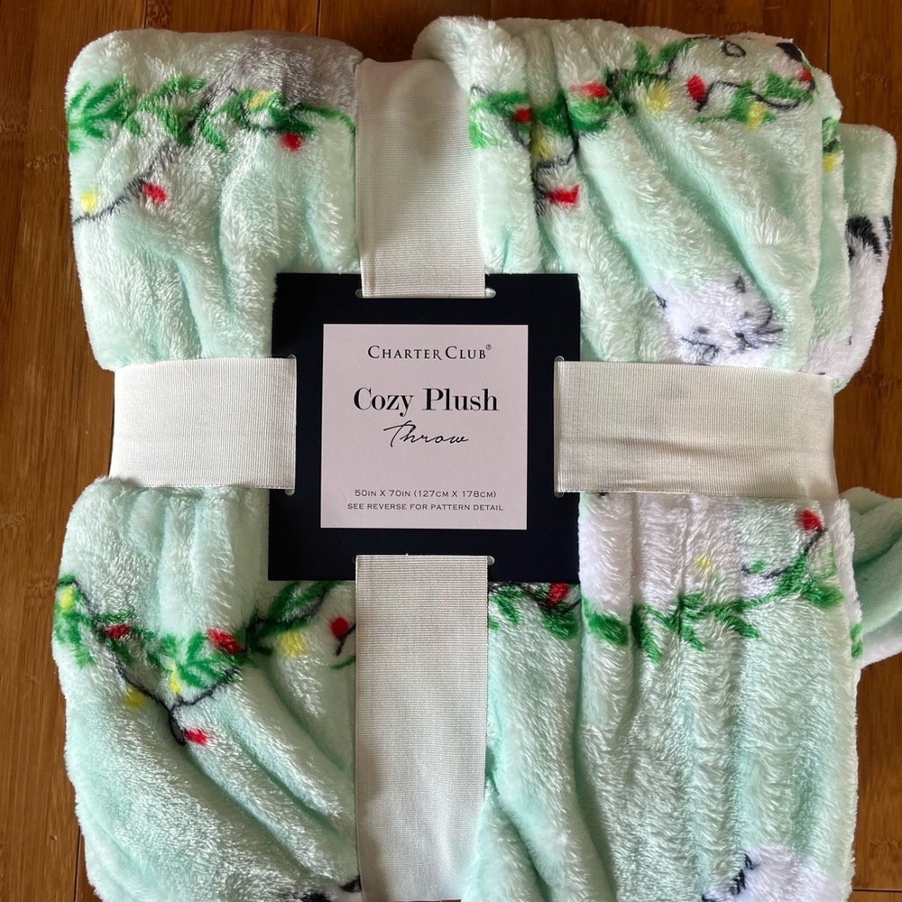 Charter Club Mint Green Plush Throw